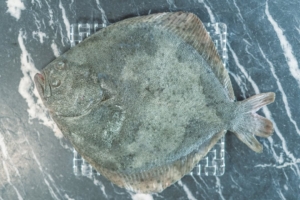 Imagen de pescado fresco