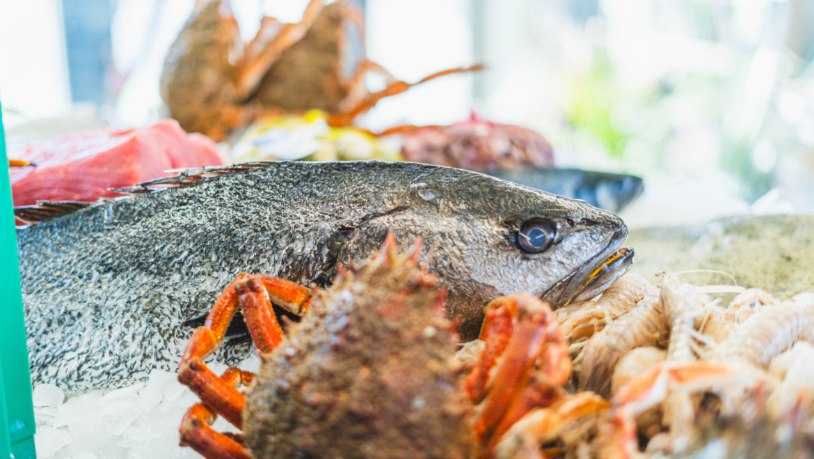 ¿Dónde disfrutar de los mejores pescados frescos en Valencia?