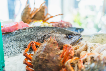 ¿Dónde disfrutar de los mejores pescados frescos en Valencia?