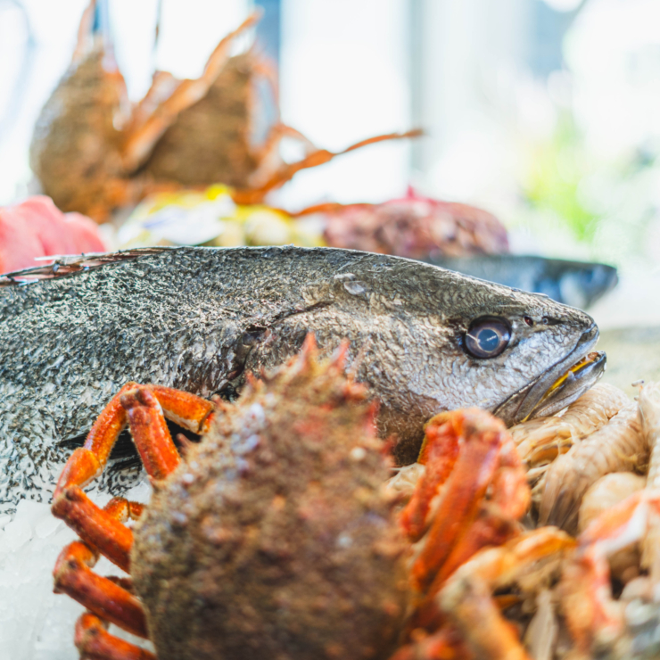¿Dónde disfrutar de los mejores pescados frescos en Valencia?